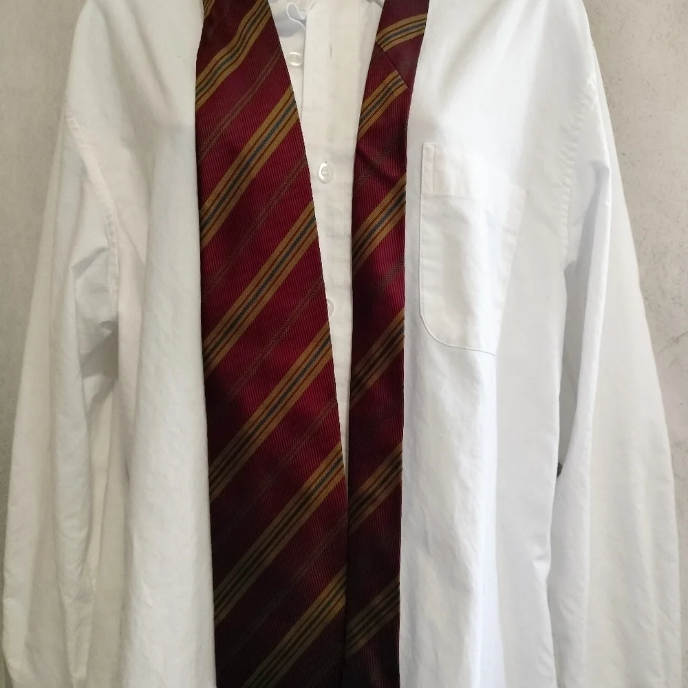 Banana Republic Men's Silk Necktie Elegant Striped Tie in Burgundy and Gold